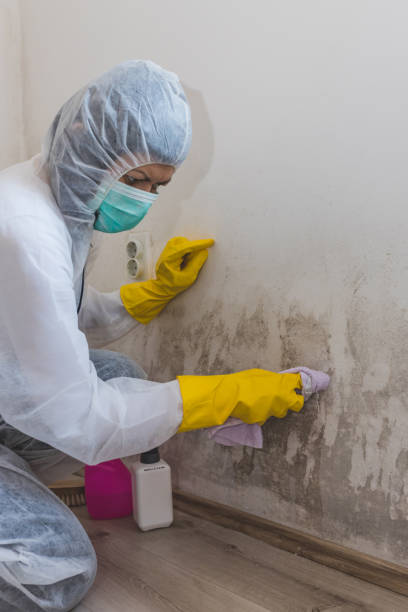 Best Biohazard Mold Removal  in Butler, MO