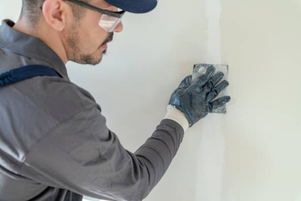 Best Crawl Space Mold Remediation  in Butler, MO